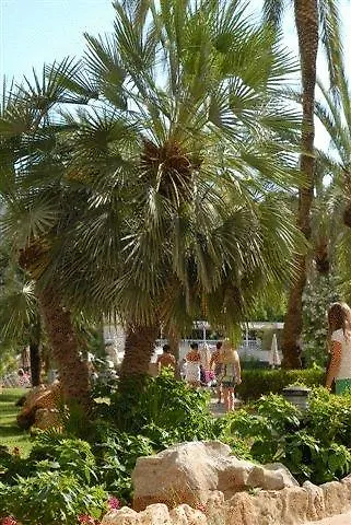 Protur Palmeras Playa Са Кома Испания
